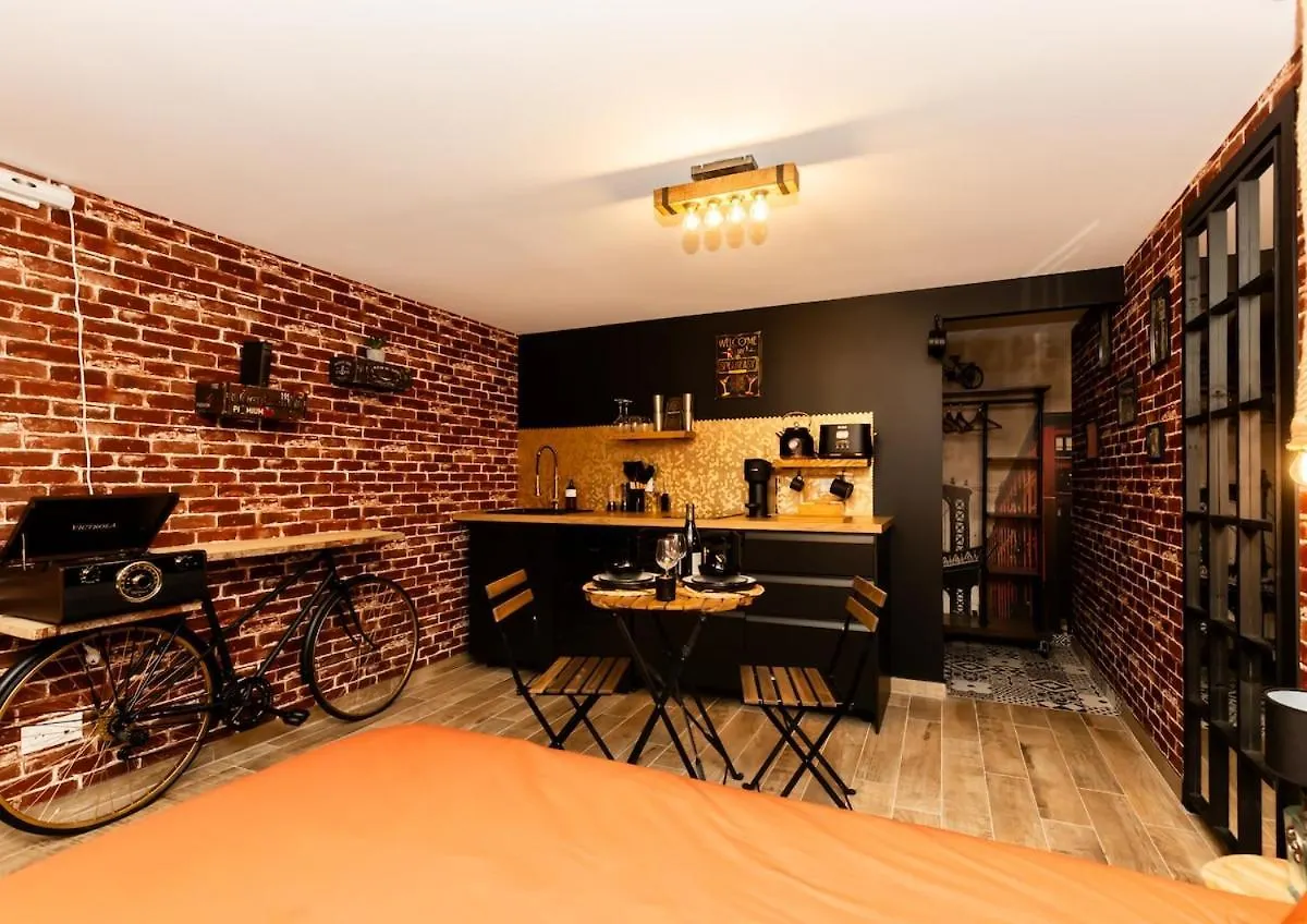 Privatize 3 Lofts 300 M2 & Games Bar By Loft Urban Apartment Saint-Etienne  0*, Saint-Etienne (Loire)
